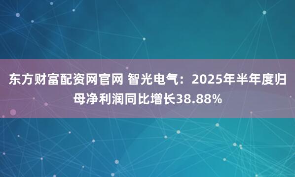 东方财富配资网官网 智光电气：2025年半年度归母净利润同比增长38.88%