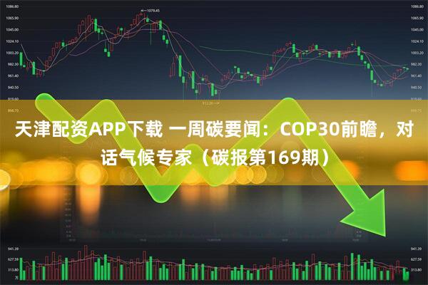 天津配资APP下载 一周碳要闻：COP30前瞻，对话气候专家（碳报第169期）