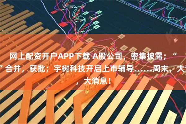 网上配资开户APP下载 A股公司，密集披露；“两船”合并，获批；宇树科技开启上市辅导……周末，大消息！