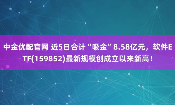 中金优配官网 近5日合计“吸金”8.58亿元，软件ETF(159852)最新规模创成立以来新高！