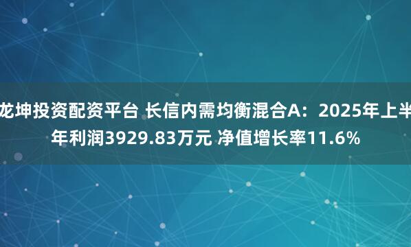龙坤投资配资平台 长信内需均衡混合A：2025年上半年利润3929.83万元 净值增长率11.6%