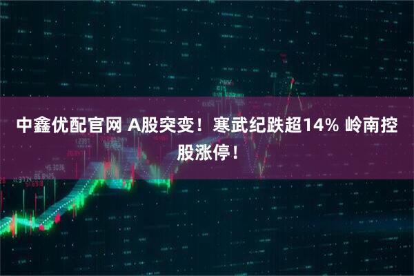 中鑫优配官网 A股突变！寒武纪跌超14% 岭南控股涨停！